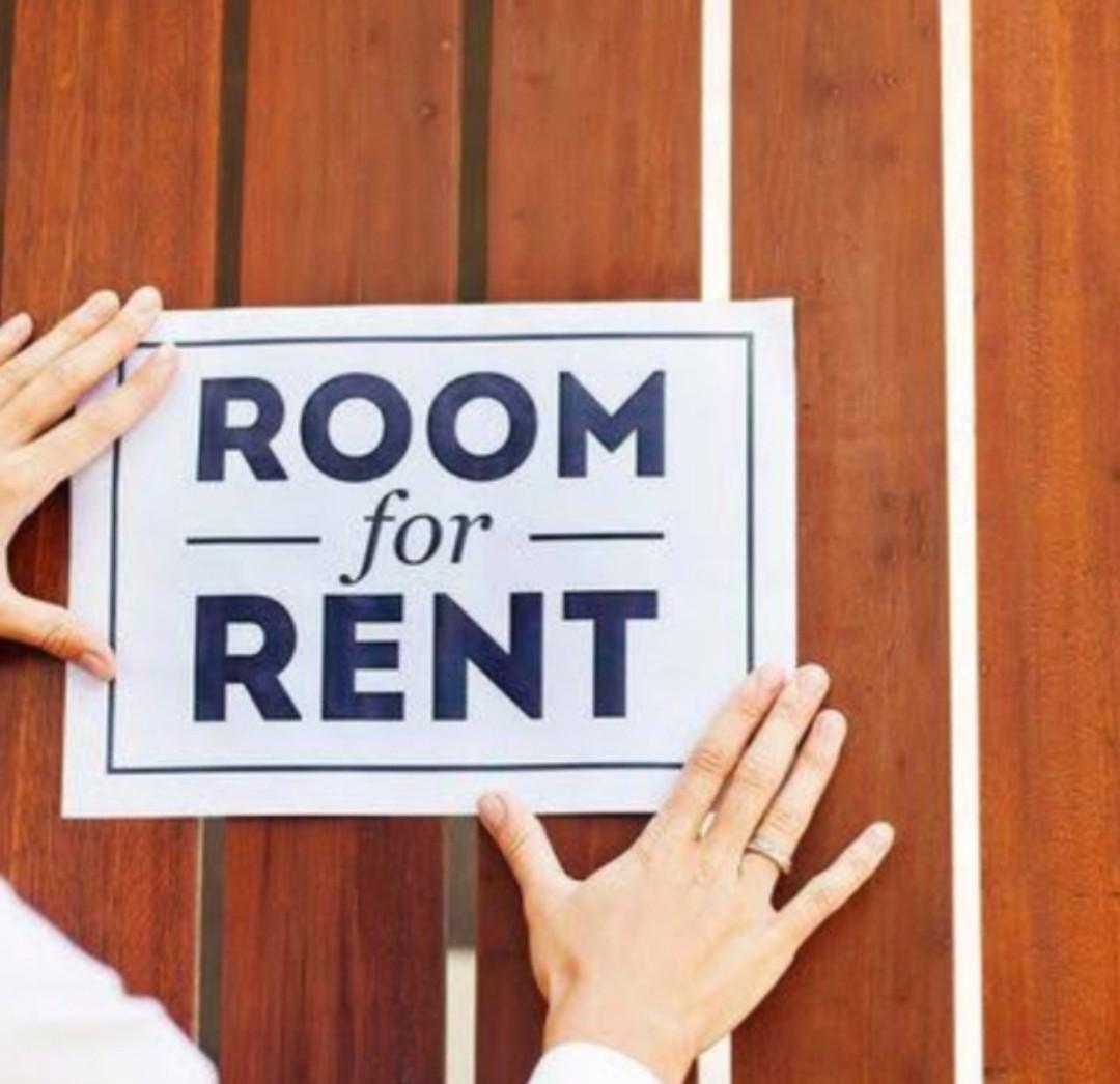 I Am Looking For Solo Room For Rent Property Rentals Room Rentals On Carousell