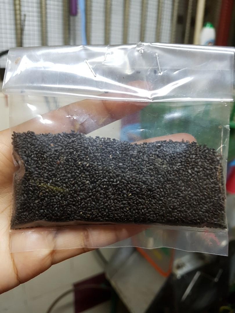 Biji Selasih Food Drinks Instant Food On Carousell