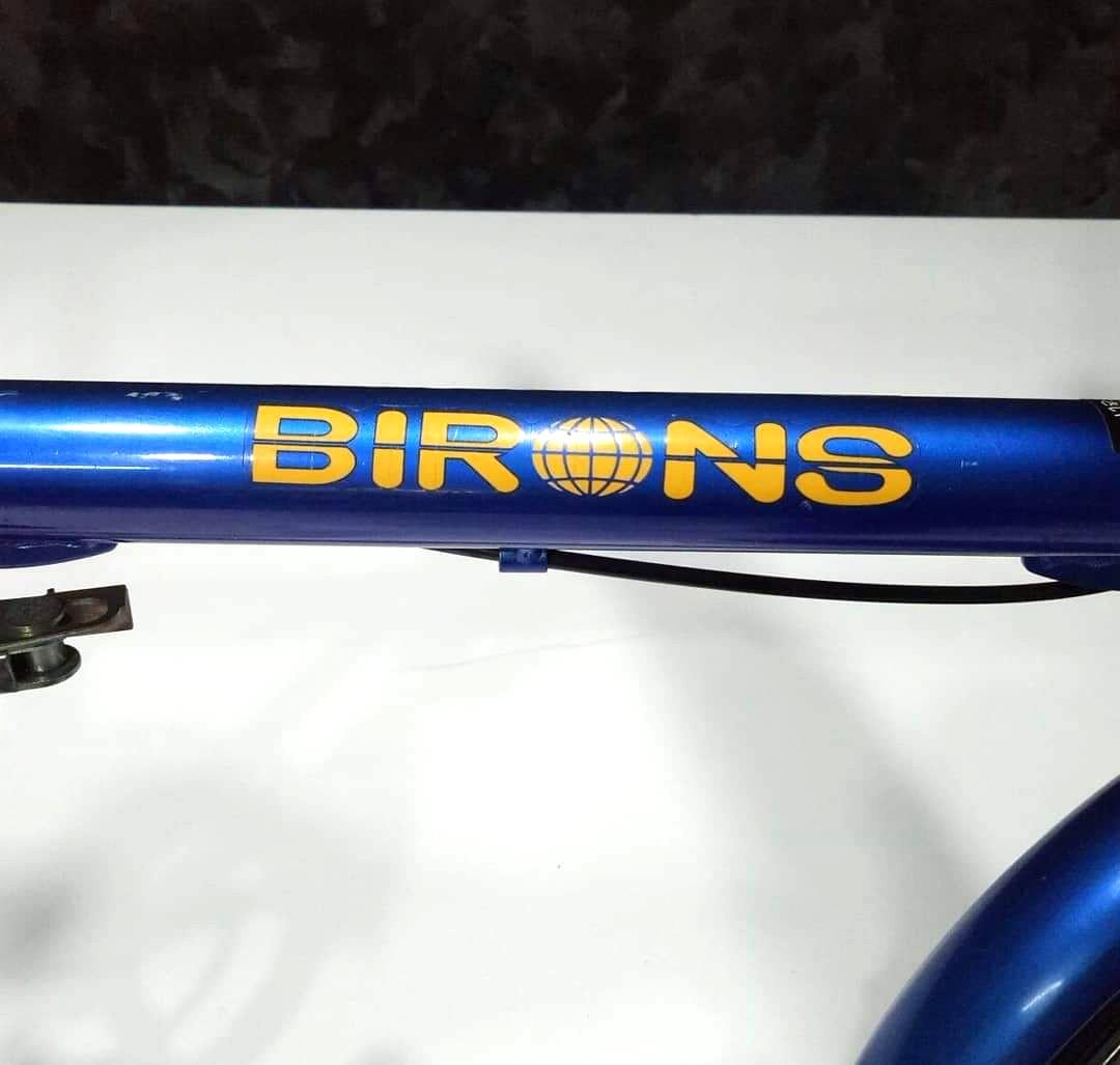 Dahon birons hot sale