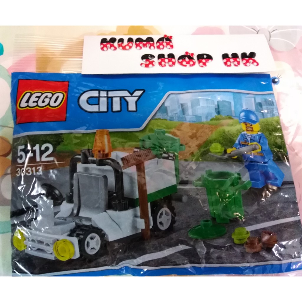 lego city 30313