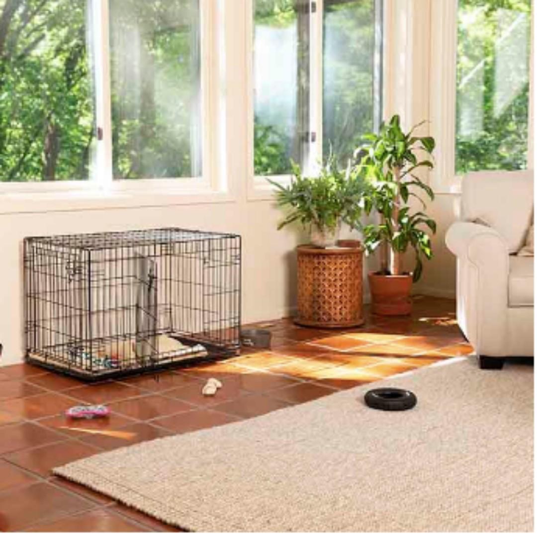 vibrant life dog crates