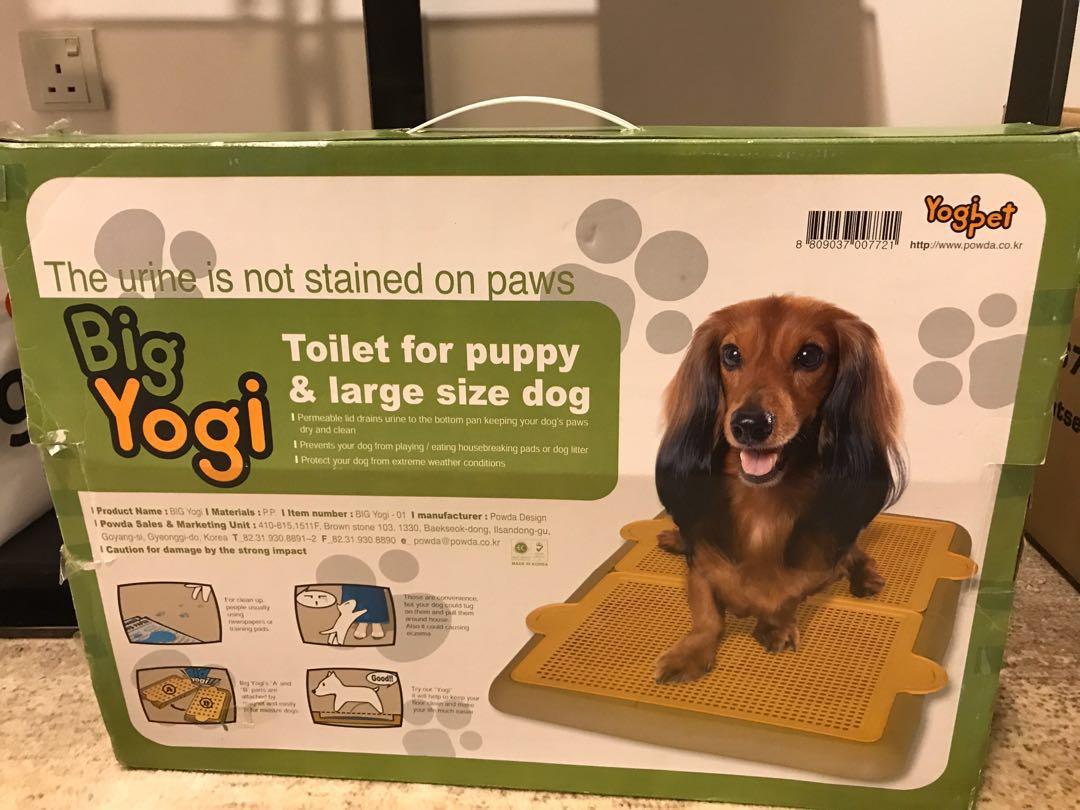 Yogi pee tray sale
