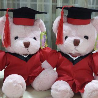 customised graduation bear