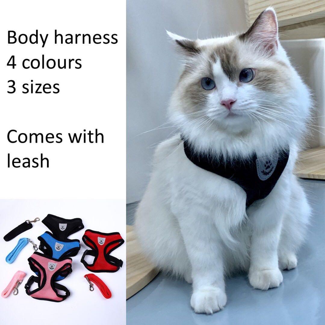 Cat harness top lazada