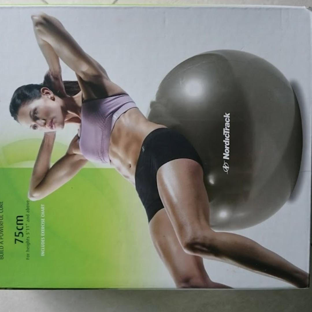 NordicTrack Exercise Gym Ball NEW 3 sizes Photography Video Cameras on Carousell