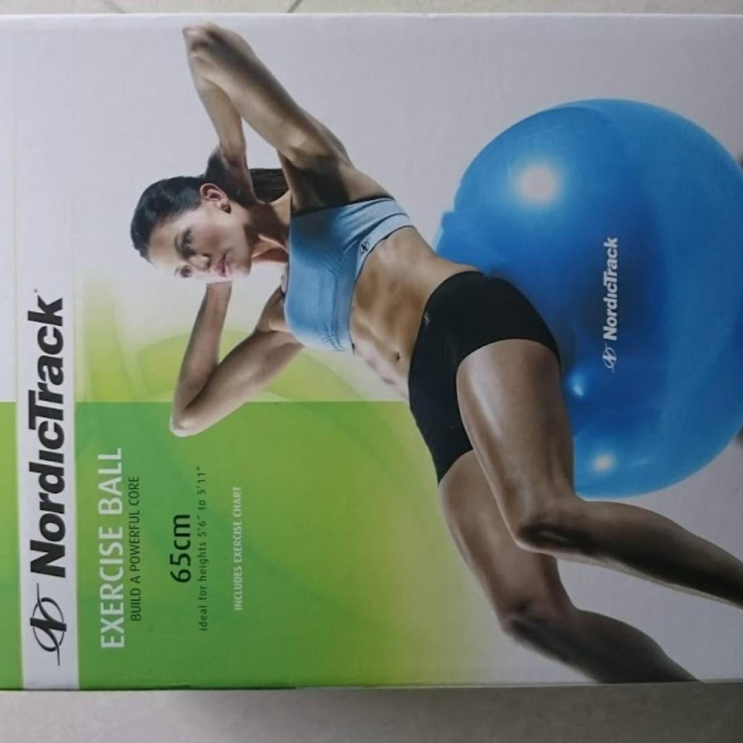 Nordictrack ball 2025