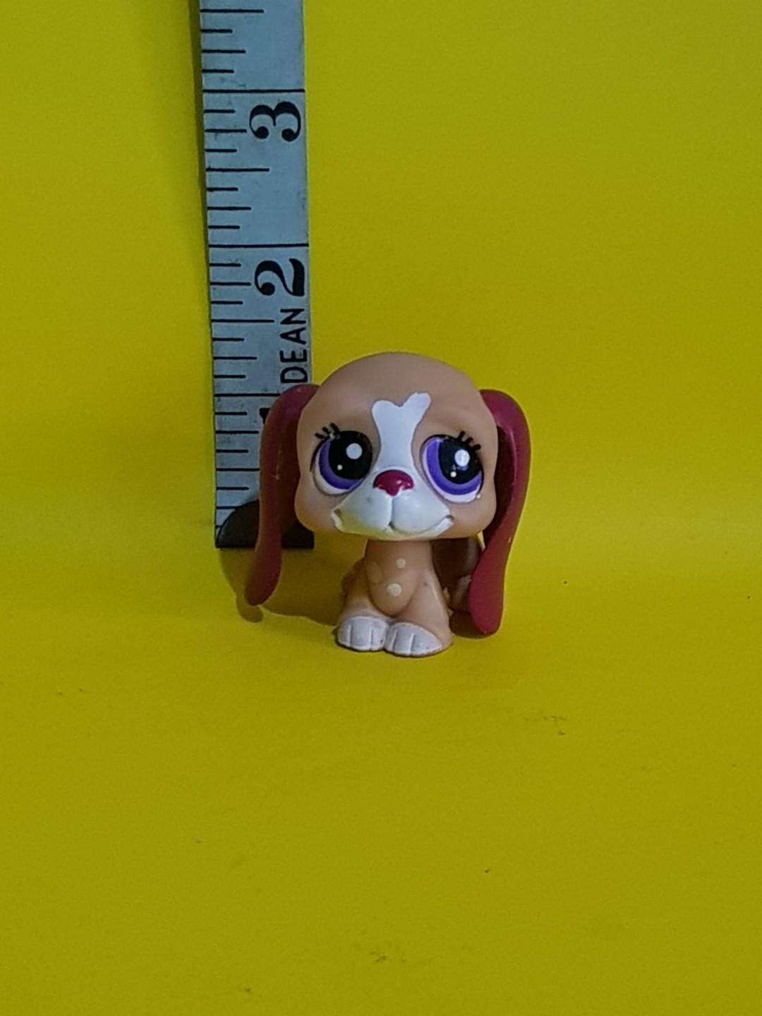 Rare Littlest Pet Shop 21, Hobbies & Toys, Toys & Games on Carousell