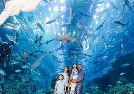SEA aquarium tickets to clear asap!