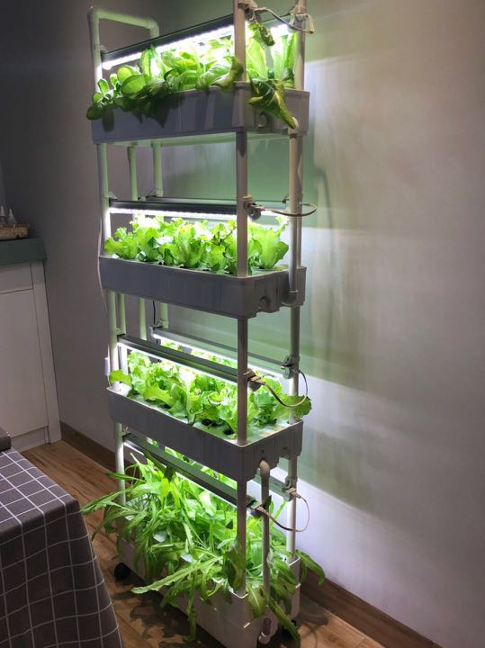 4 Tiers 48 Pots Hydroponics System With Energy Saving Led Lights