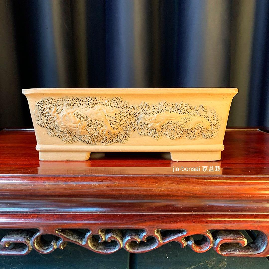 Japanese Tokoname Izumiya Bonsai Dragon Pot, Furniture & Home Living