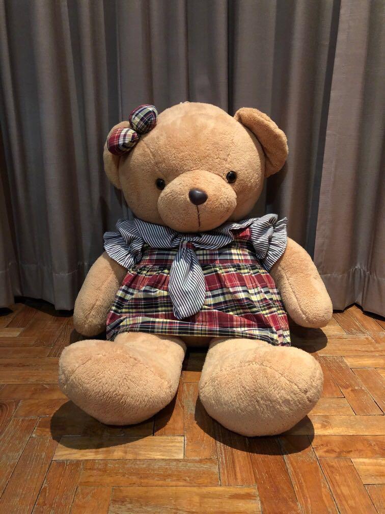 Teddy bear and owl negotiation video