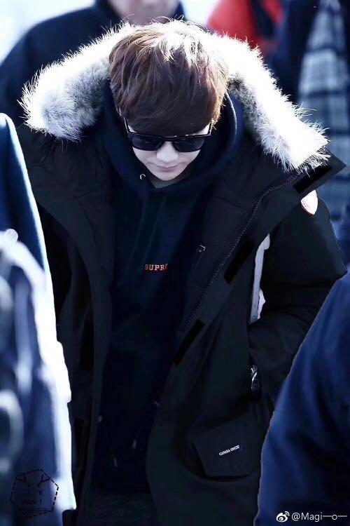 Canada goose langford 13 2025
