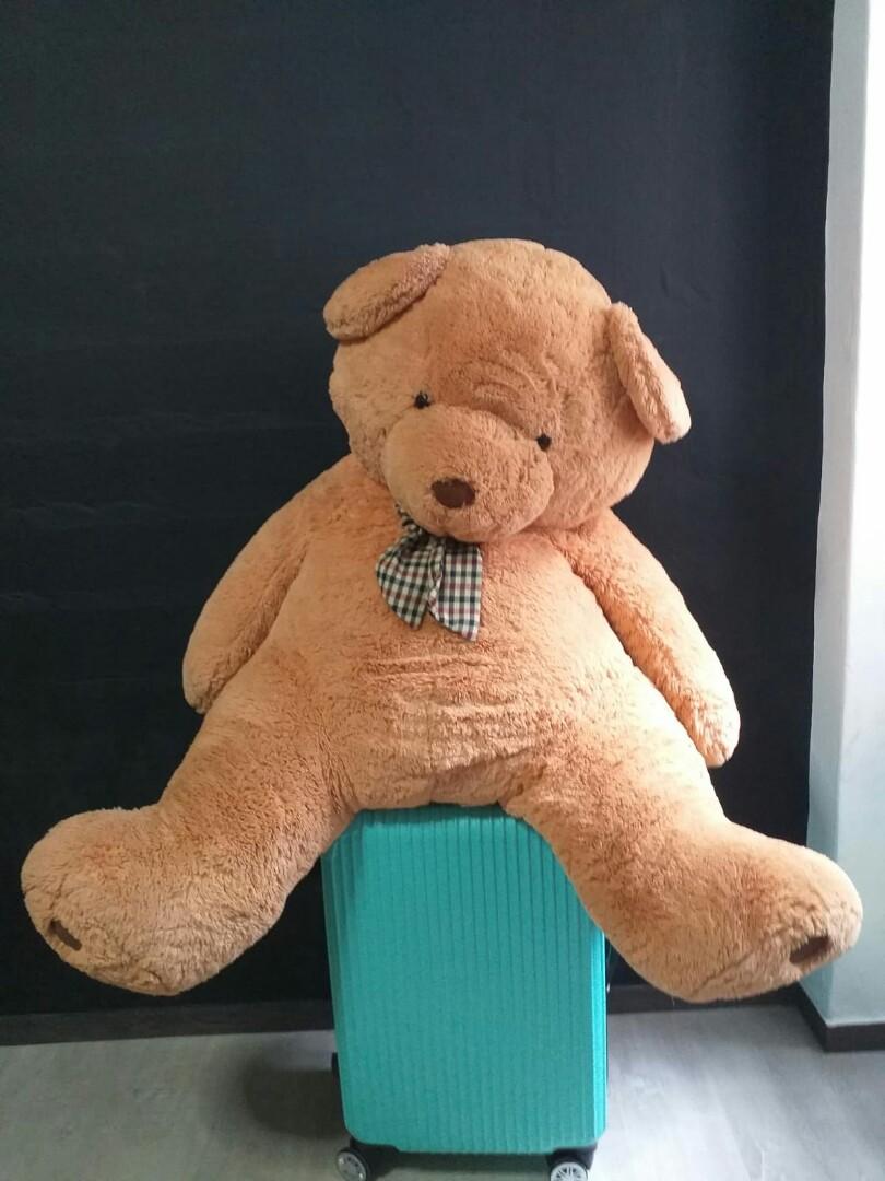 Amazon long leg bear cheap