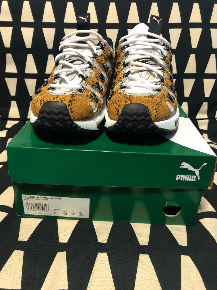 Puma Cell Endura Animal Kingdom US10 Men s Fashion Footwear Sneakers on Carousell