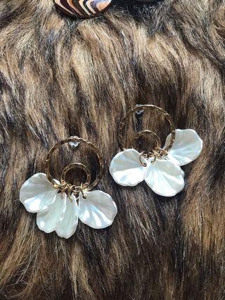 Anting korea premium