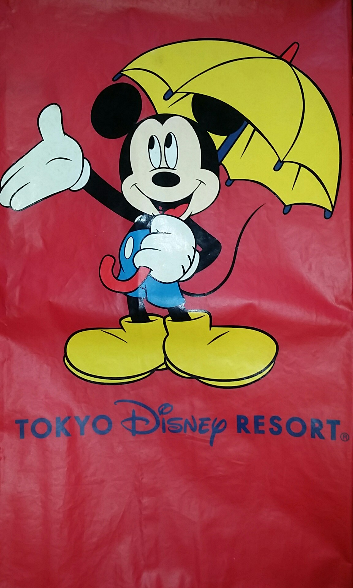 Mickey raincoat cheap