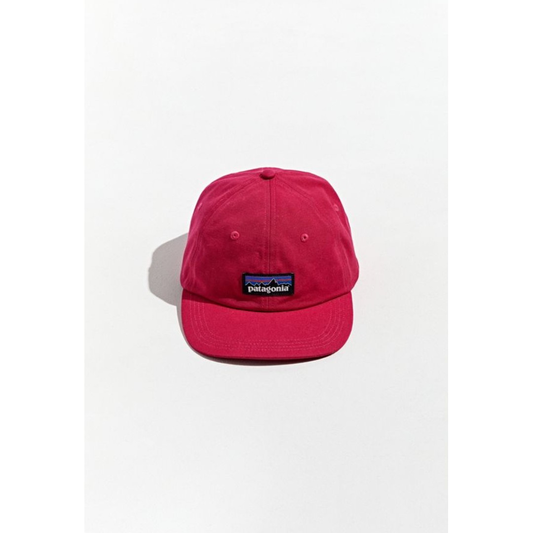 patagonia logo baseball hat