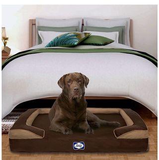 Sealy Dog Bed Cushy Cuddler | Crushed memory and orthopedic foam bolstered dog bed, Large Brown