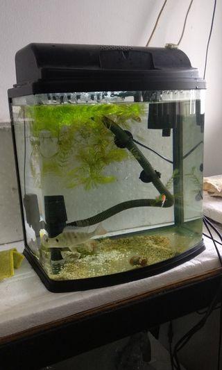 Aquarium 013-6131313