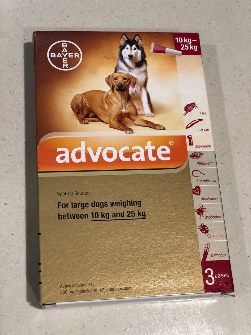 Advocate Flea And Heartworm Spot On For Large Dogs 22 55 Lbs 心疥爽滴蚤 寵物用品 寵物家品及其他 Carousell