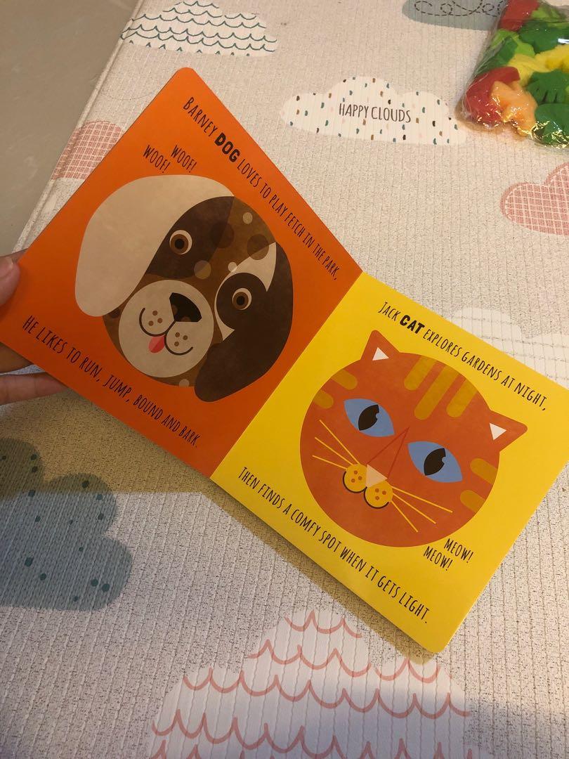 Bn what am i animals illustrated by fiona powers hobbies toys
