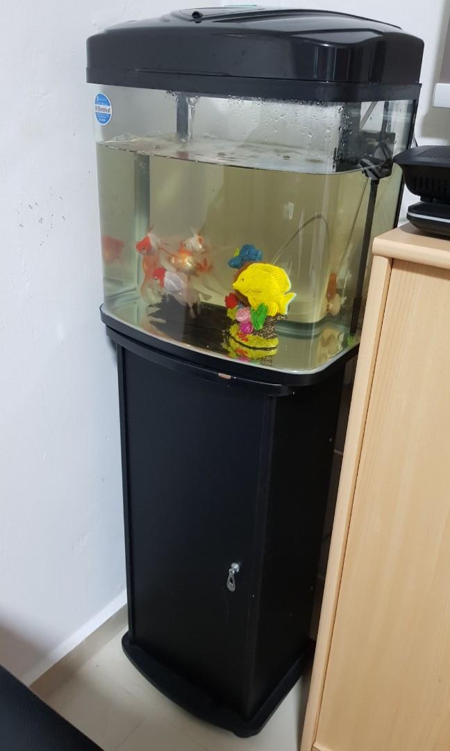 small size aquarium