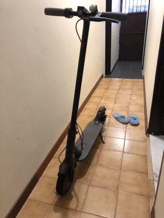 Xiaomi Mi Electric Scooter Mijia M365