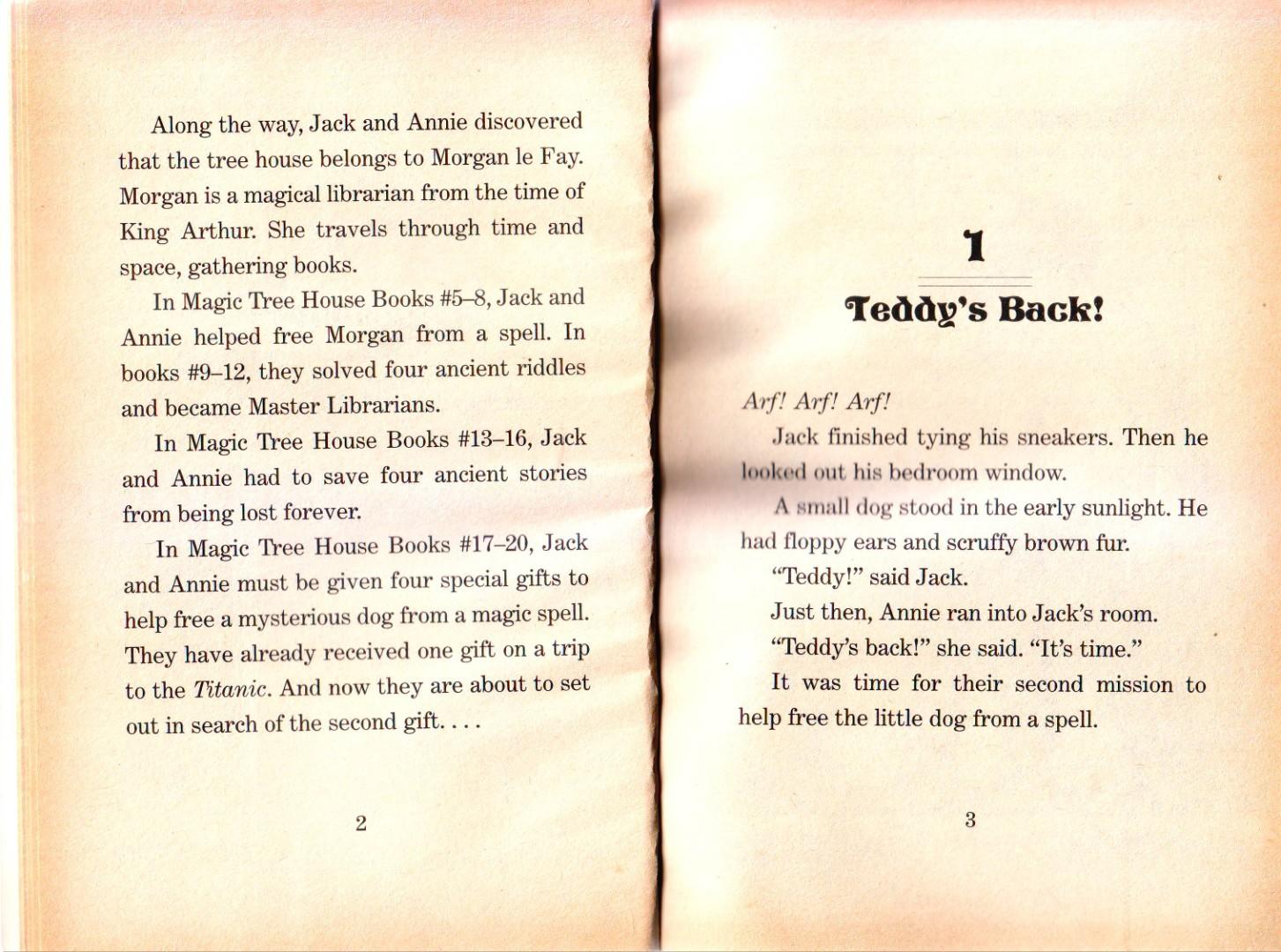 Get Wallpaper Magic Tree House 18 Buffalo Before Breakfast Books For iPhone Free