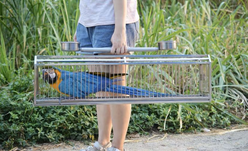 Macaw hotsell travel cage