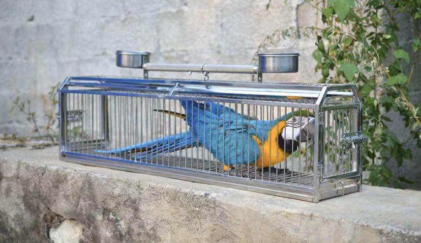 macaw carrier cage