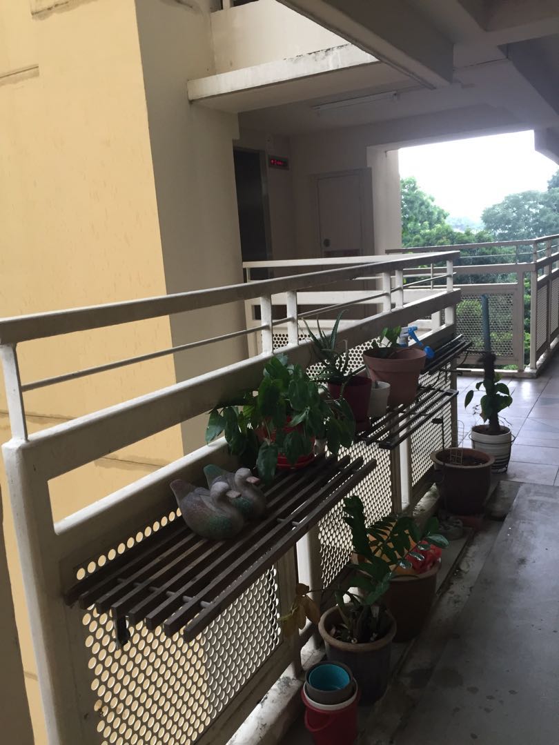 (Category: ) located in . Submitted by grace.gan (Listing ID 256470201, Image 1). Description: .