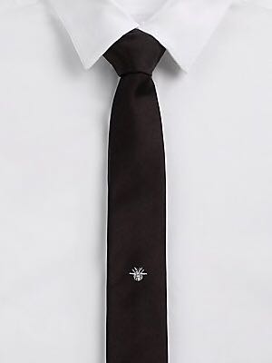 Dior tie bee Men s Fashion Watches Accessories Ties on Carousell