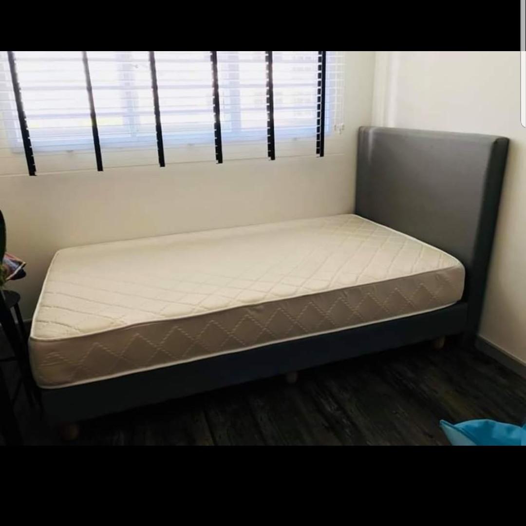Super single bed frame + foam mattress, Furniture & Home Living