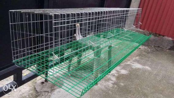 Layer Cages Pet Accessories Carousell Philippines