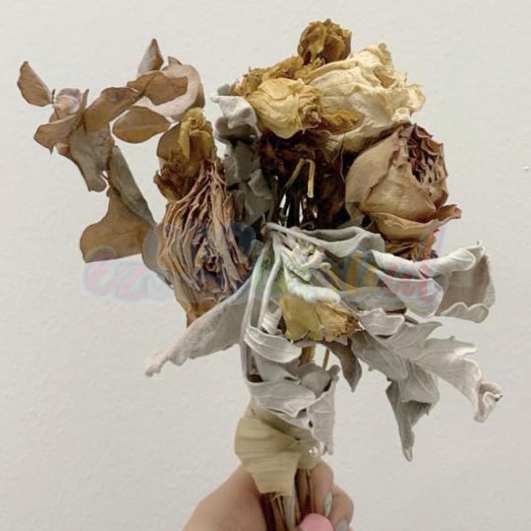 Dried Flowers Bouquet - Silver Dollar Eucalyptus, Dusty Miller, Roses,  Eustoma