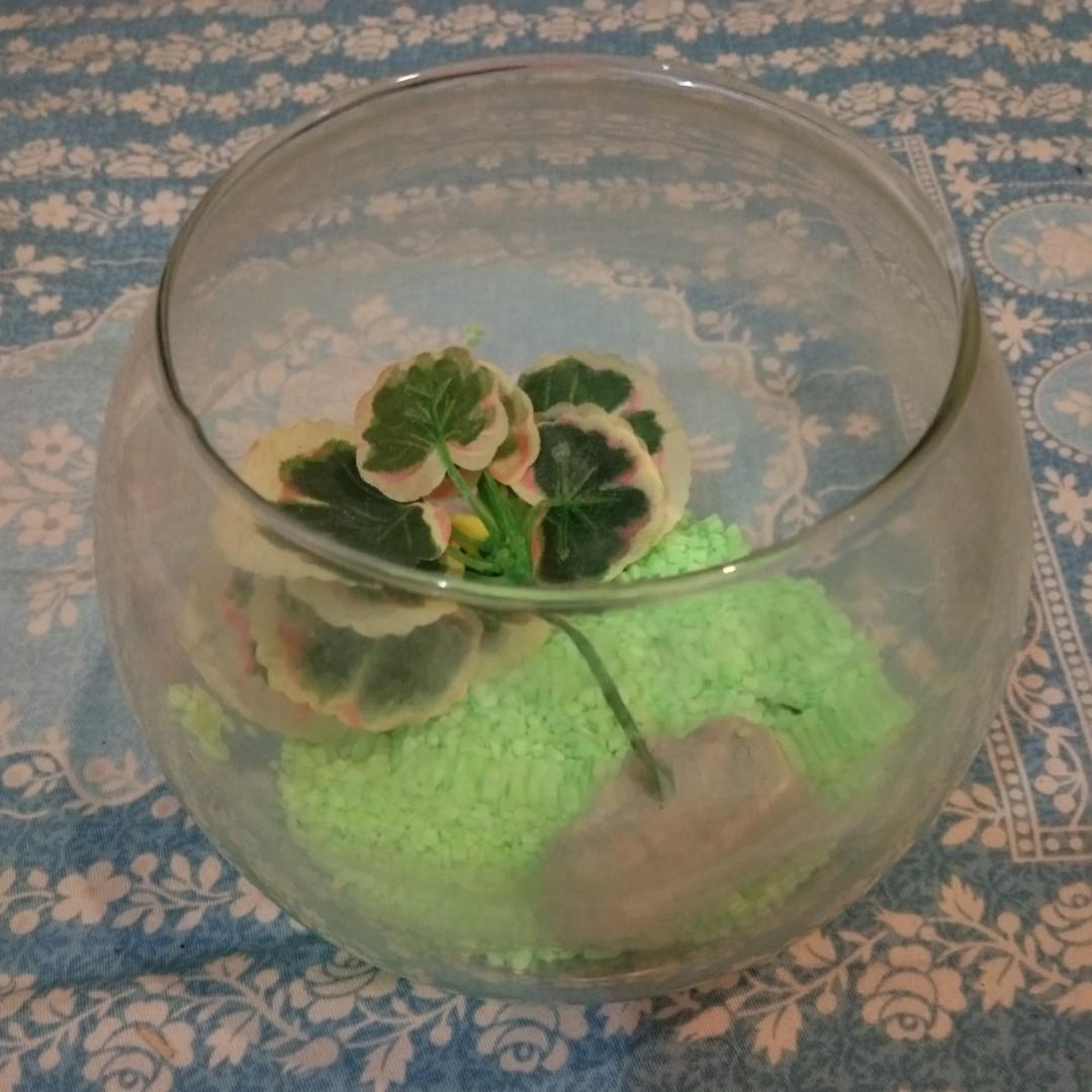 5600 Koleksi Design Aquarium Kecil HD