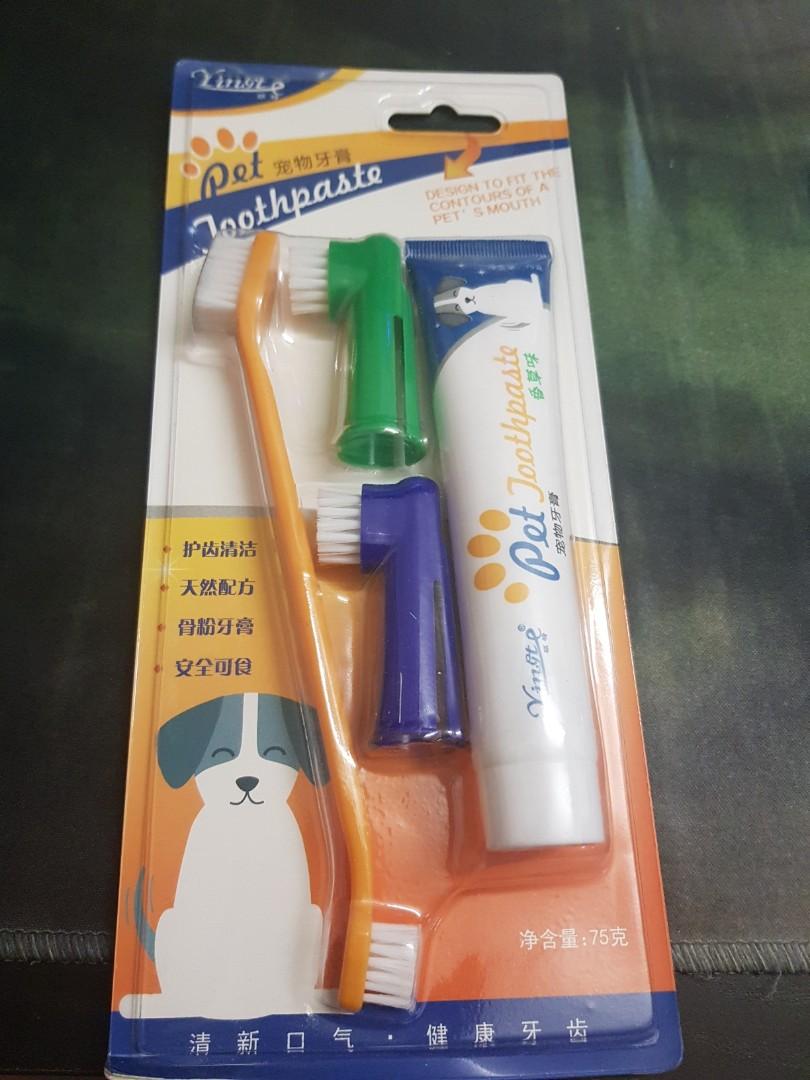 small dog toothbrush and toothpaste