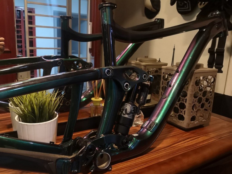 giant reign frame only