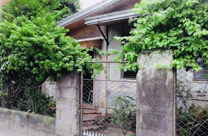 House and Lot in Bacolod Silay City, Property, For Sale ...