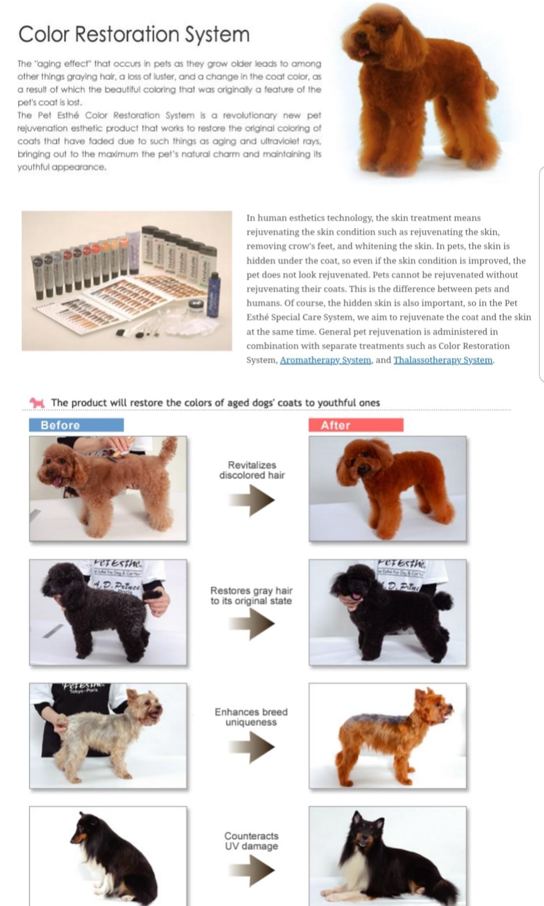 Pet esthe online dog shampoo