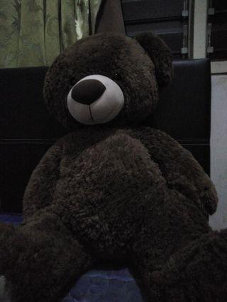 harga teddy bear kaison