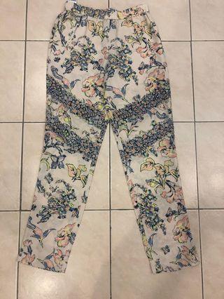 BCBG pants