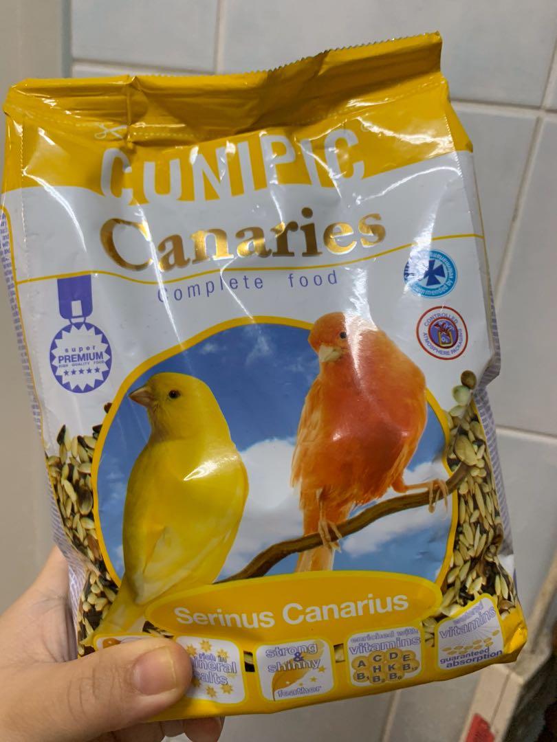 canary bird supplies