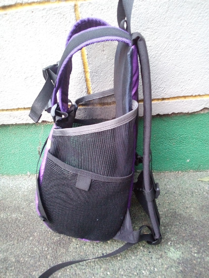 Dog bag carrier Wow! Dachshund, Pet Supplies, Homes & Other Pet