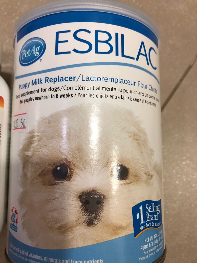 How To Use Puppy Milk Replacers PetSmart
