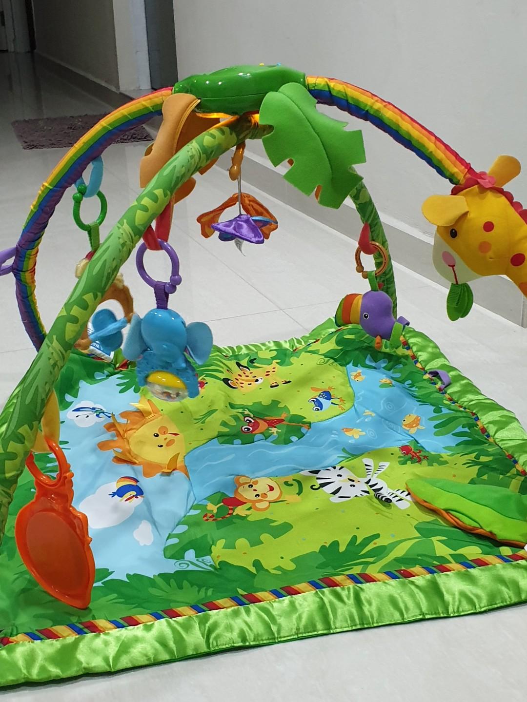 rainforest jungle gym