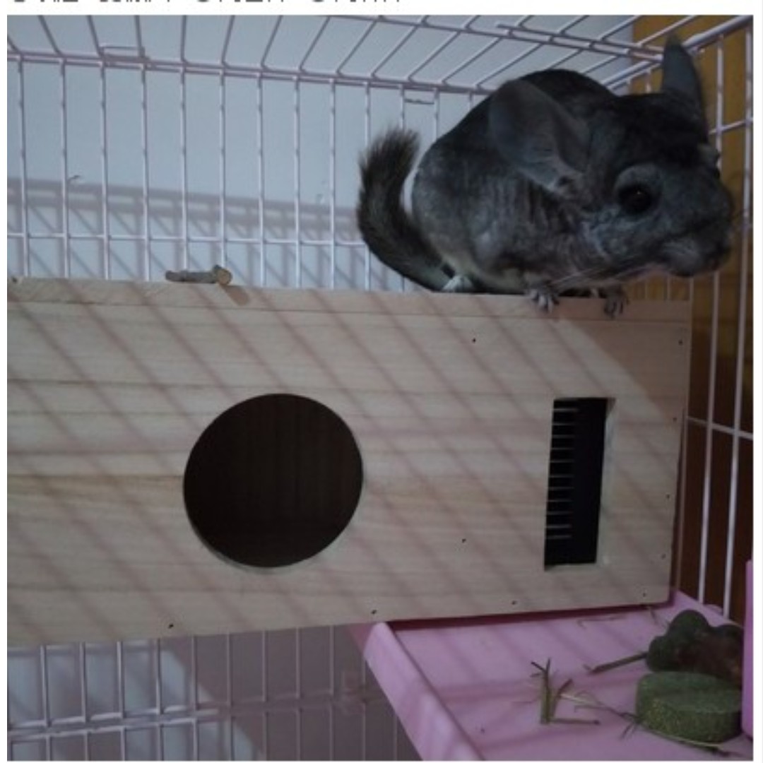 Pet Chinchilla Rabbit Bunny small airconditioner wooden hut house
