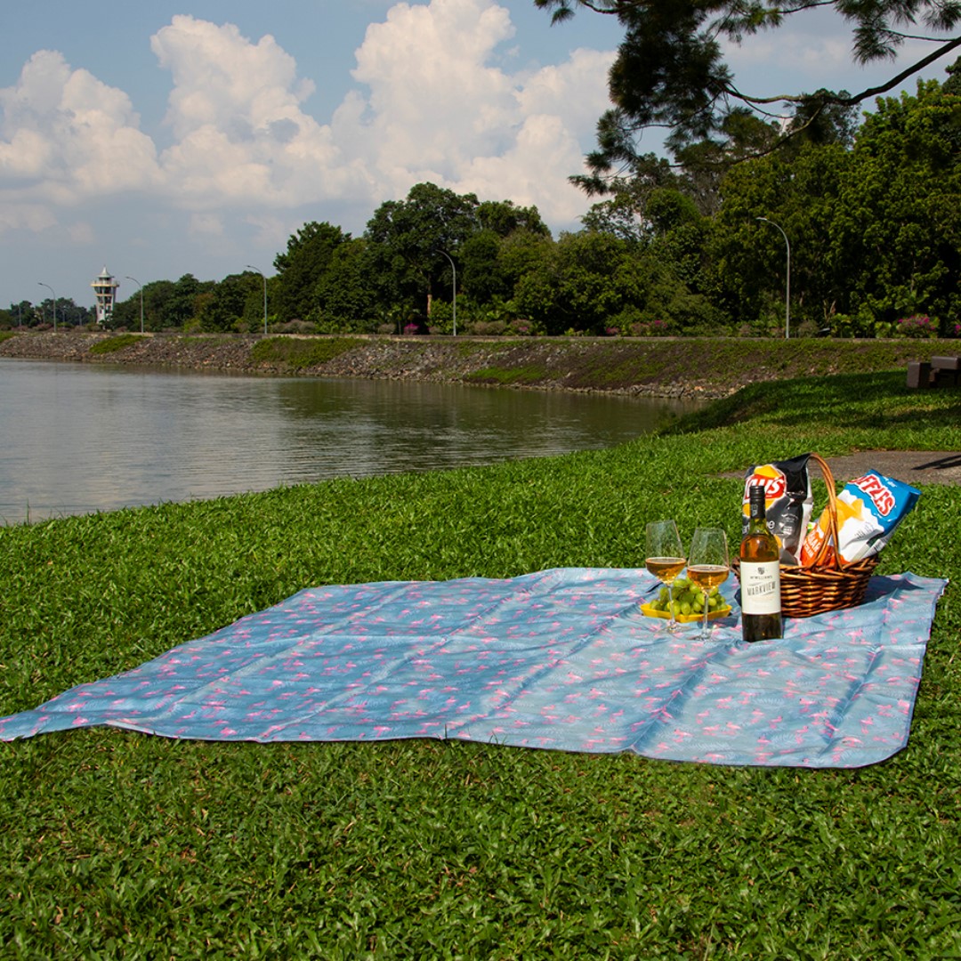 mat picnic