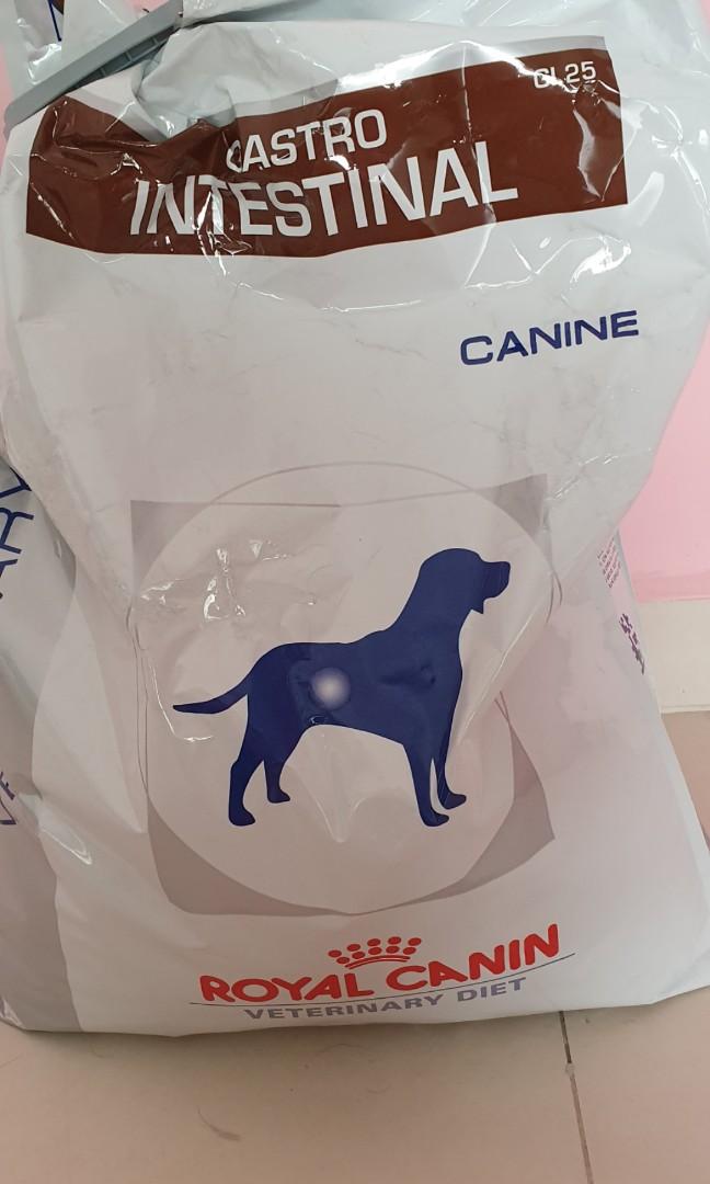 Royal Canin Gastro Intestinal Dry Food Pet Supplies For Dogs Dog Food On Carousell