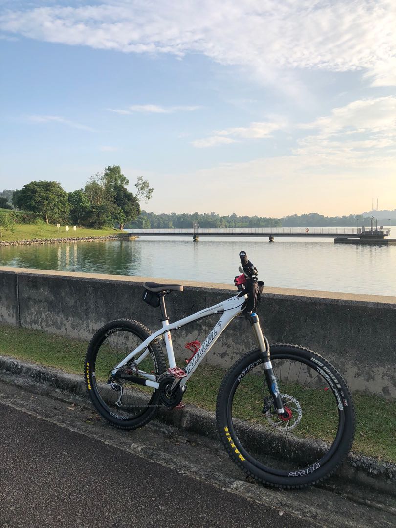 santa cruz chameleon single speed